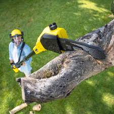 Best Soil Testing and Treatment  in Sanford, CO
