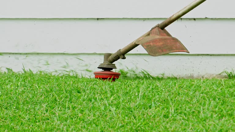 Sanford, CO Tree Services Company